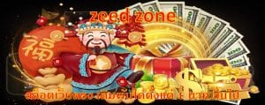 zeed zone