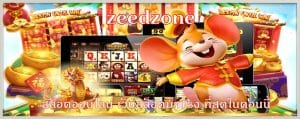 zeedzone